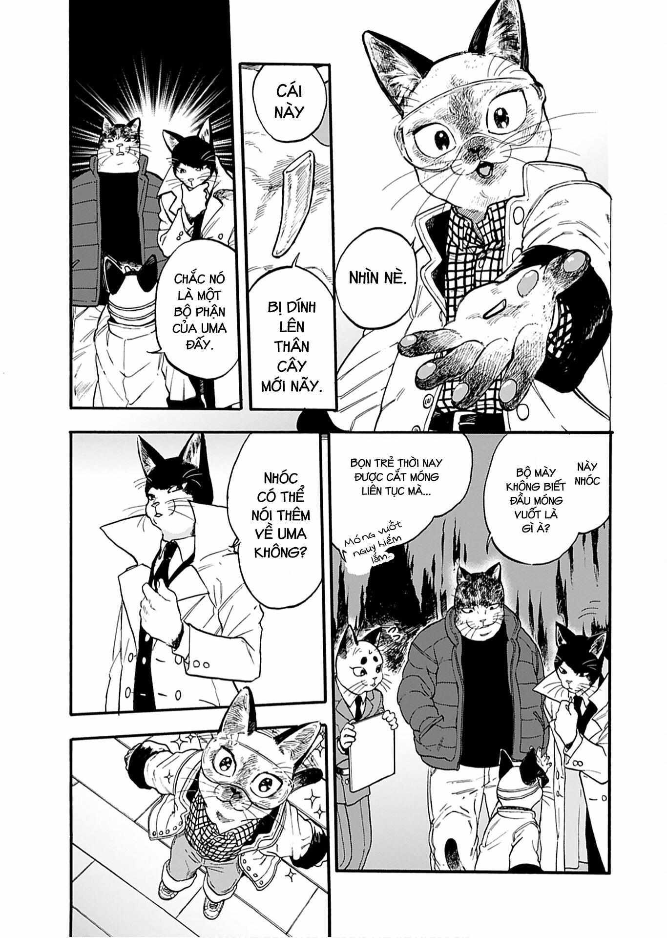Read Buddy Cat Manga Online