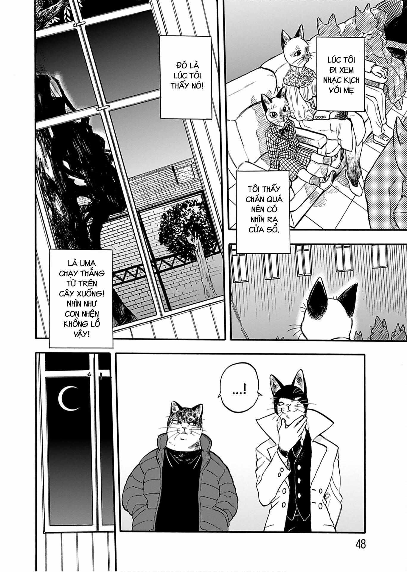 Read Buddy Cat Manga Online