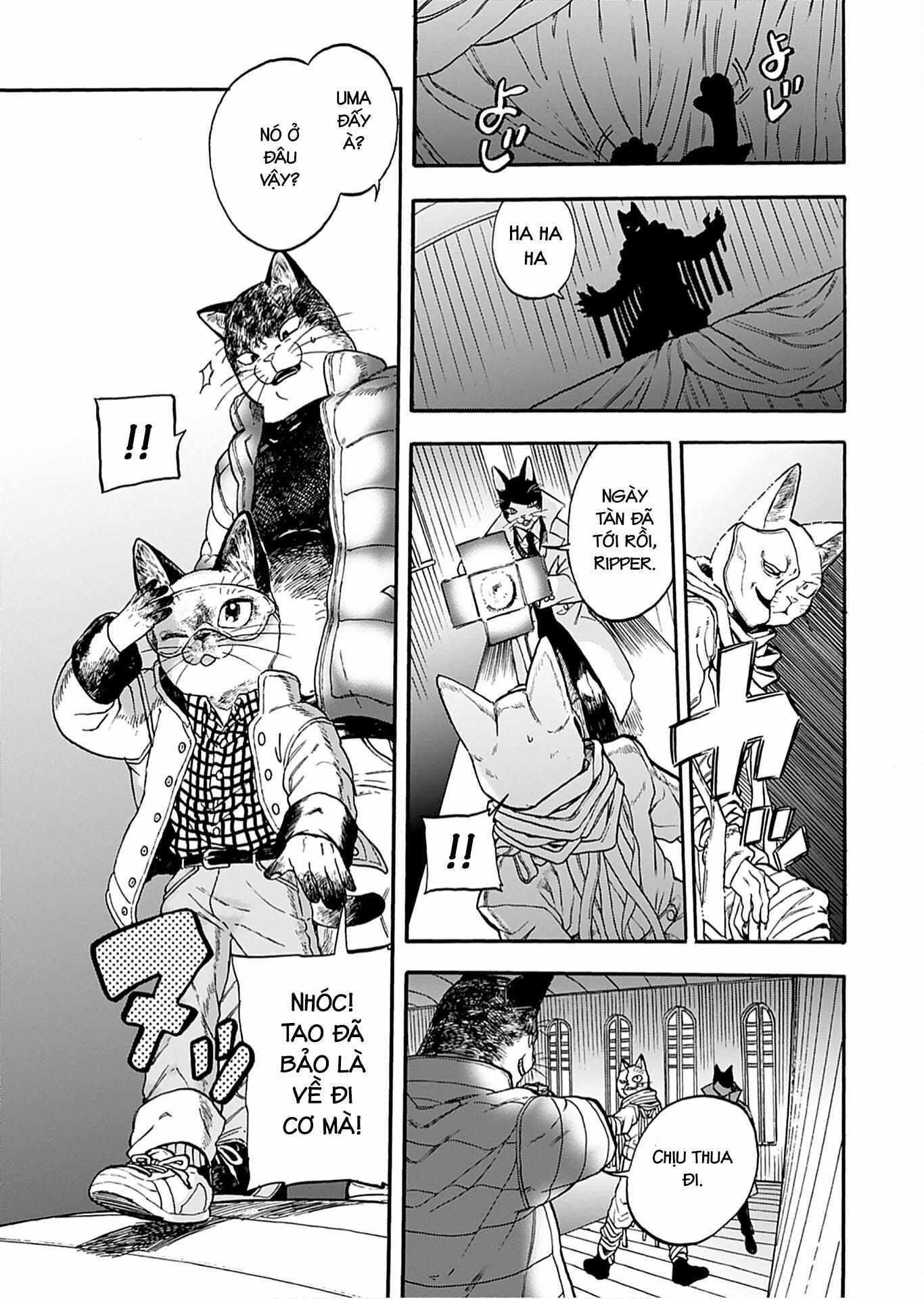 Read Buddy Cat Manga Online