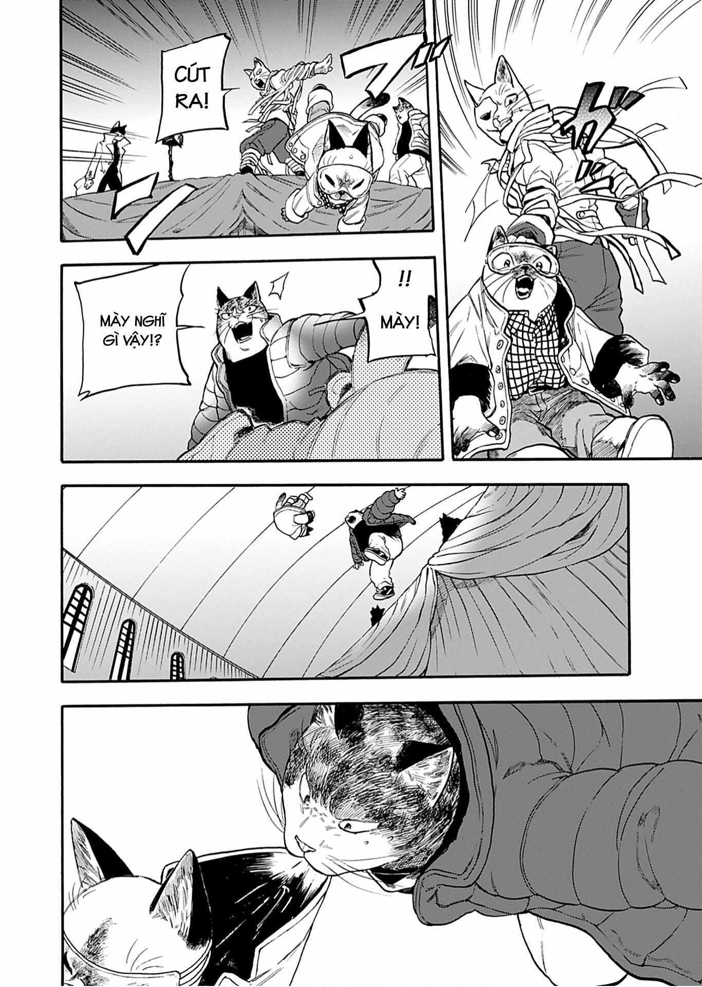 Read Buddy Cat Manga Online