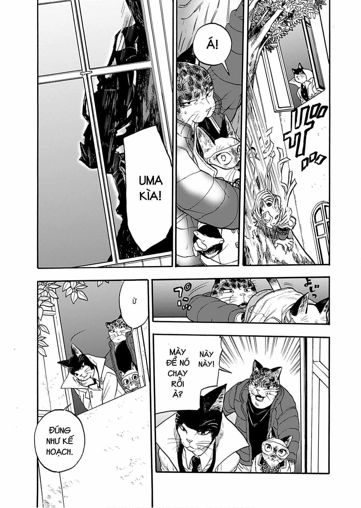 Read Buddy Cat Manga Online