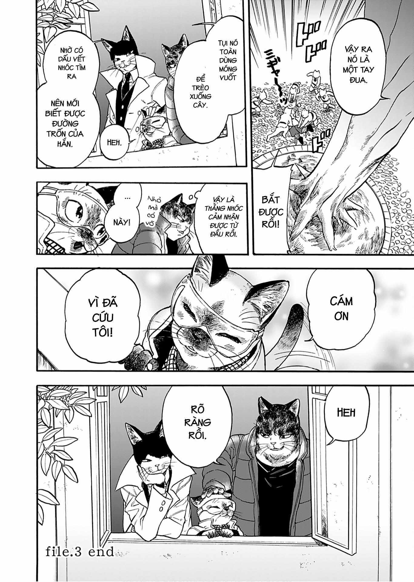 Read Buddy Cat Manga Online