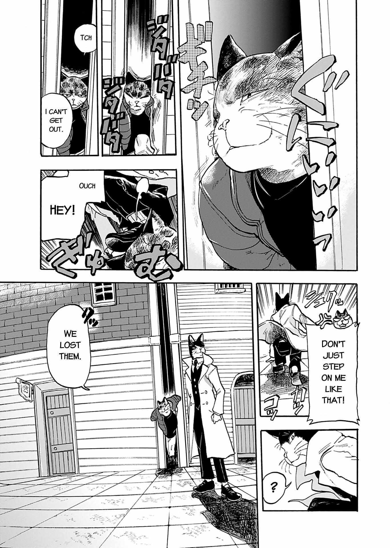 Read Buddy Cat Manga Online