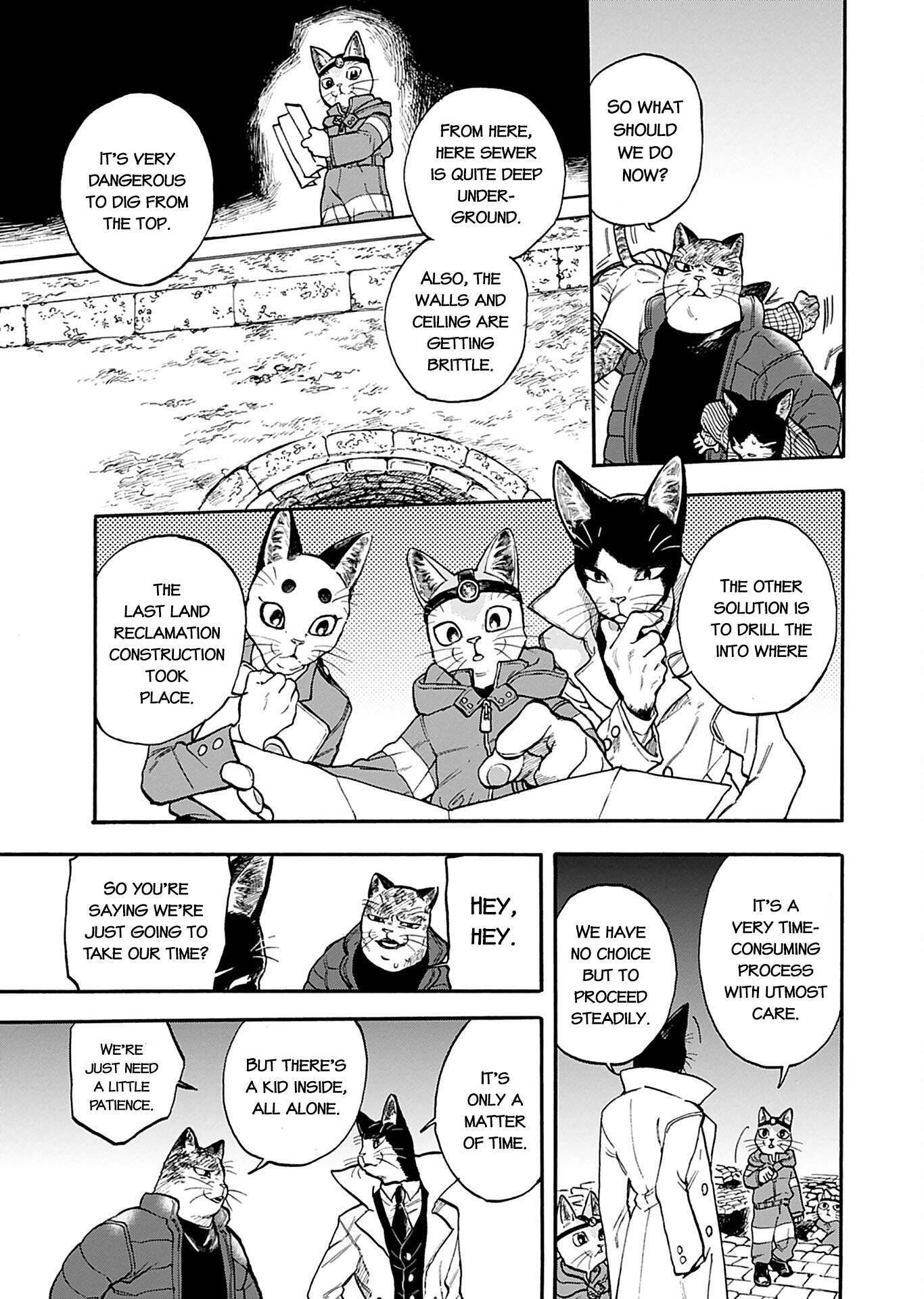 Read Buddy Cat Manga Online