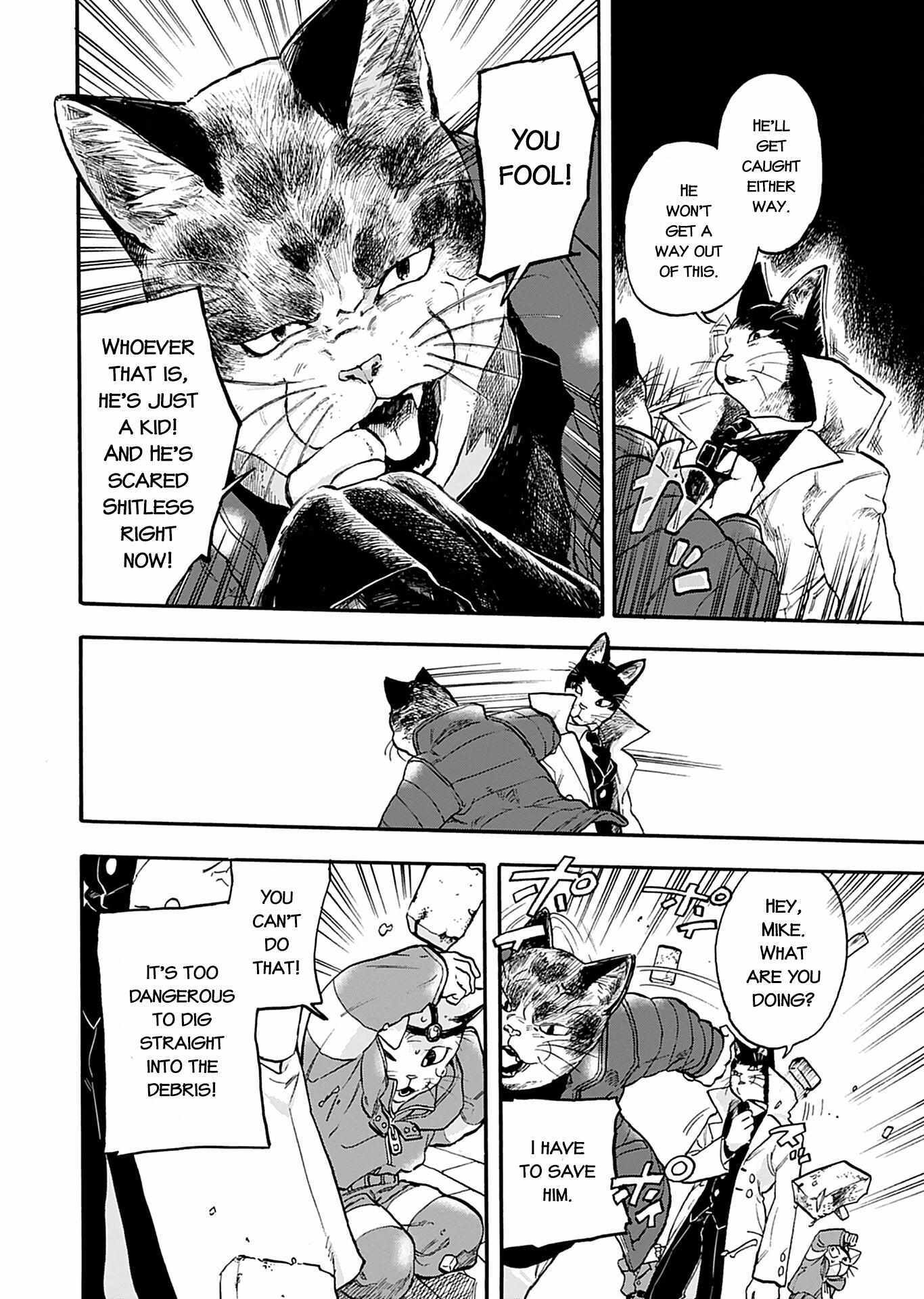 Read Buddy Cat Manga Online