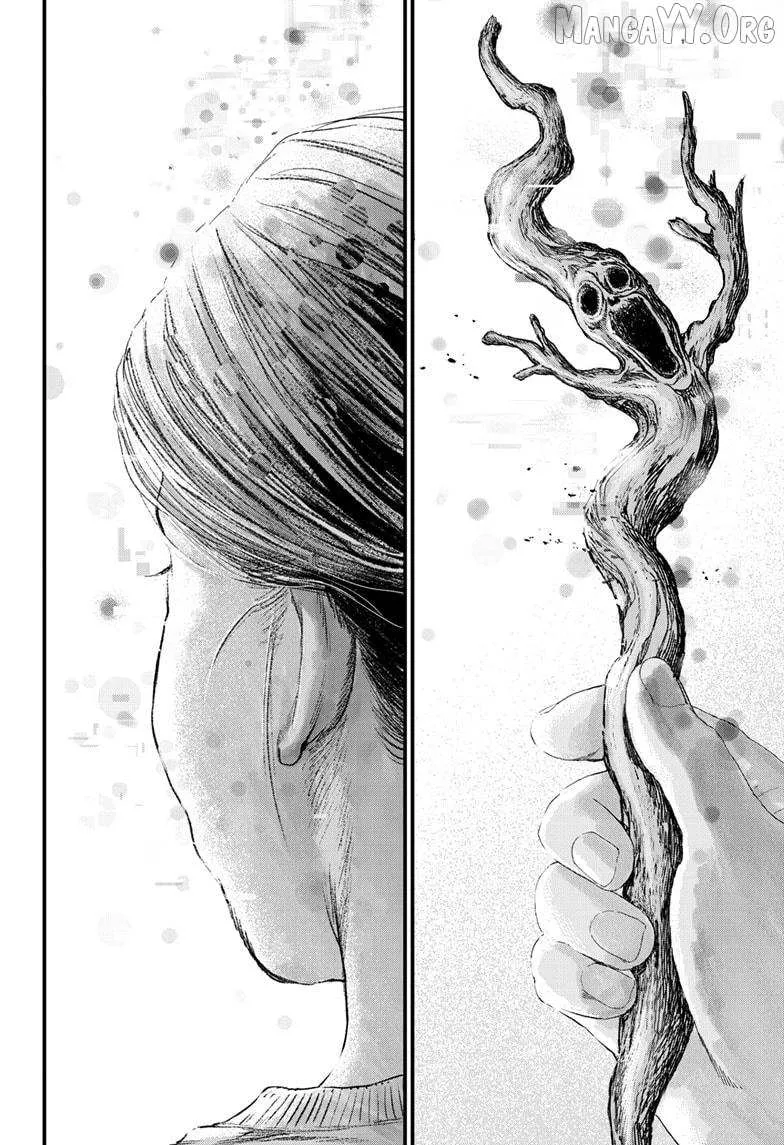 Read Bug Ego Manga Online