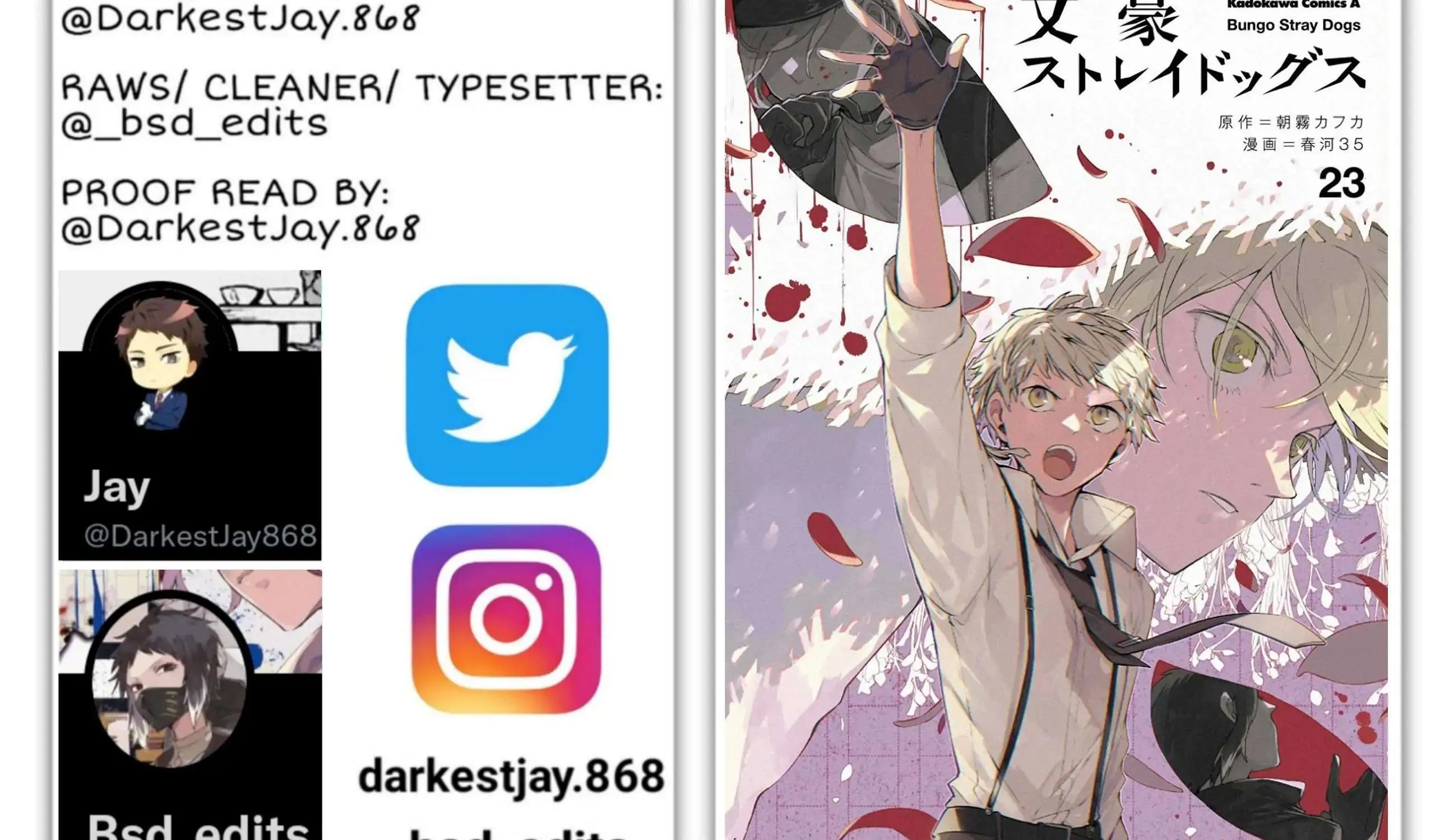 Read Bungou Stray Dogs Manga Online