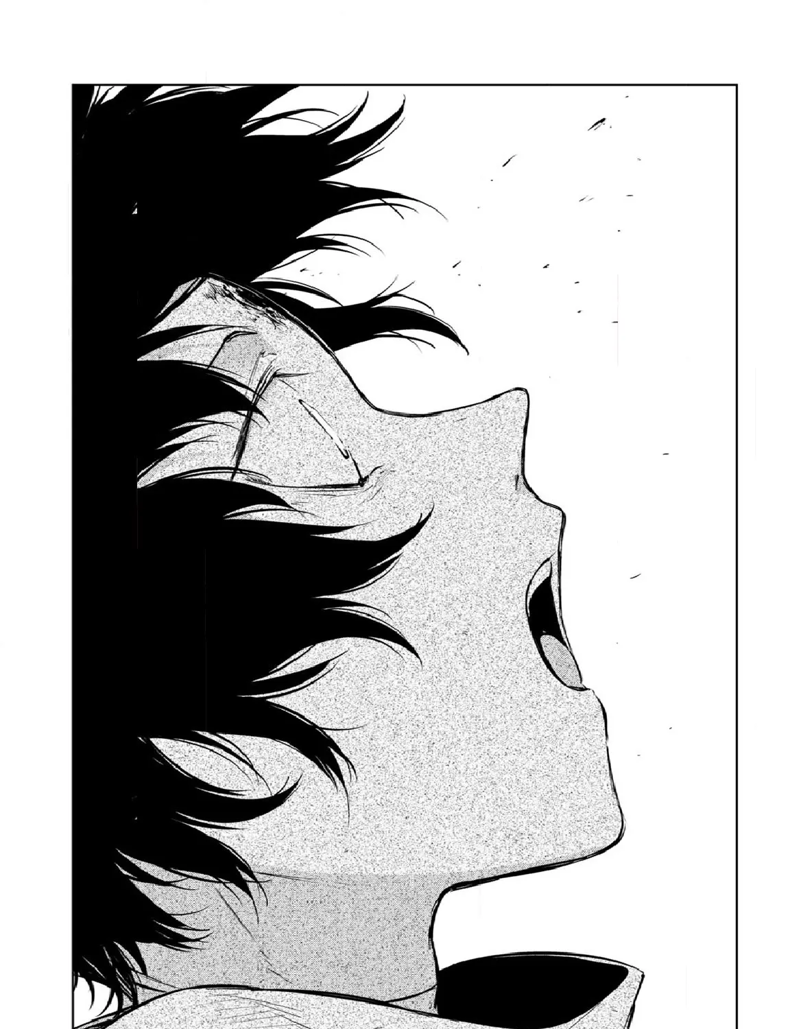 Read Bungou Stray Dogs Manga Online