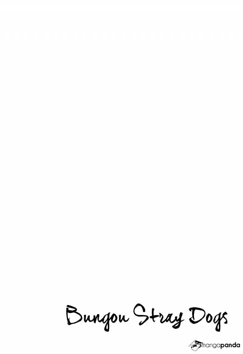 Read Bungou Stray Dogs Manga Online