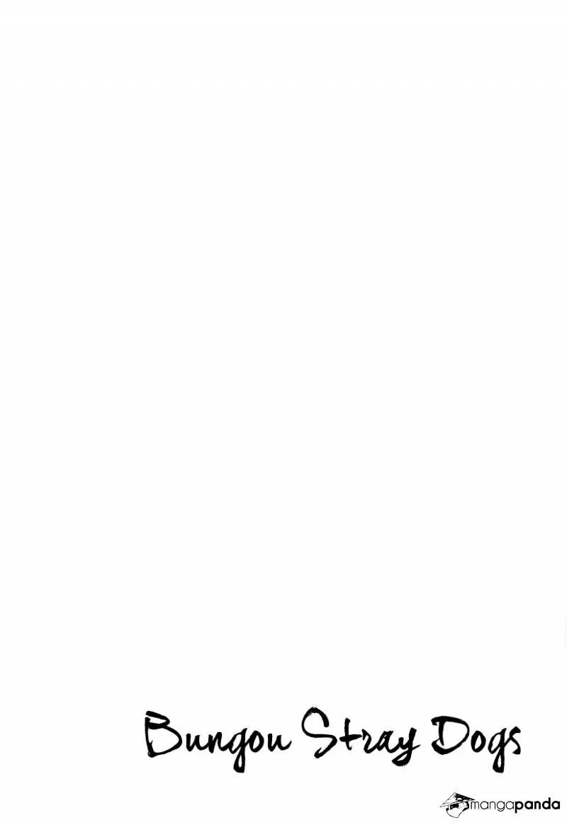 Read Bungou Stray Dogs Manga Online