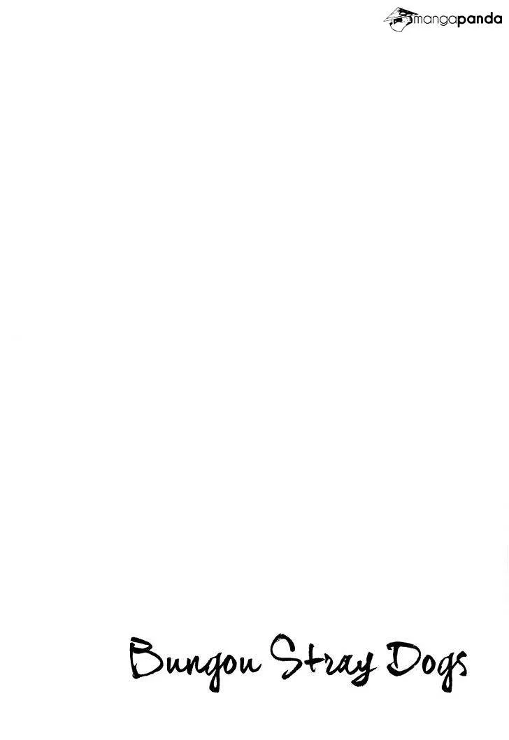 Read Bungou Stray Dogs Manga Online