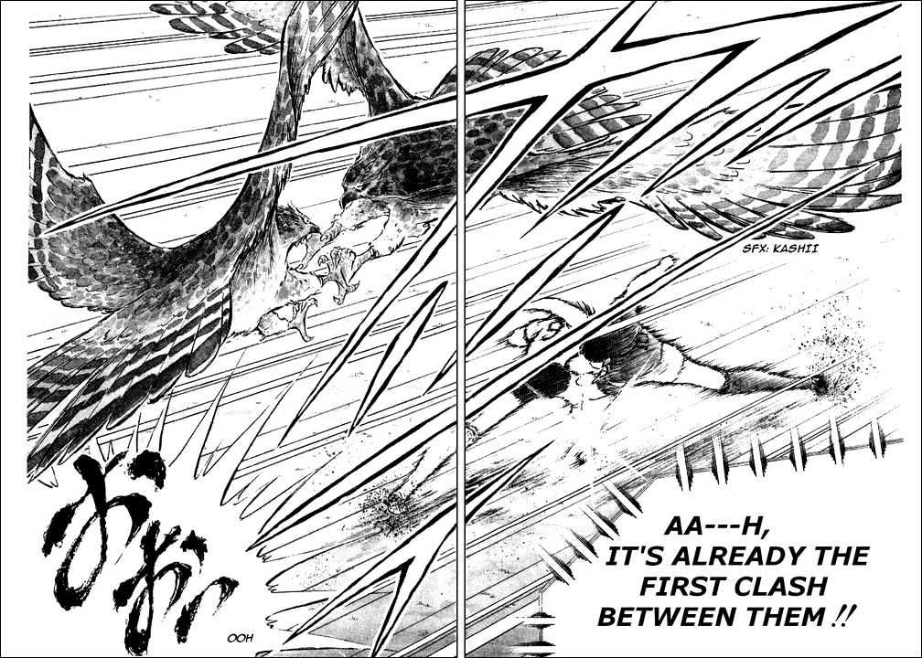 Read Captain Tsubasa Manga Online