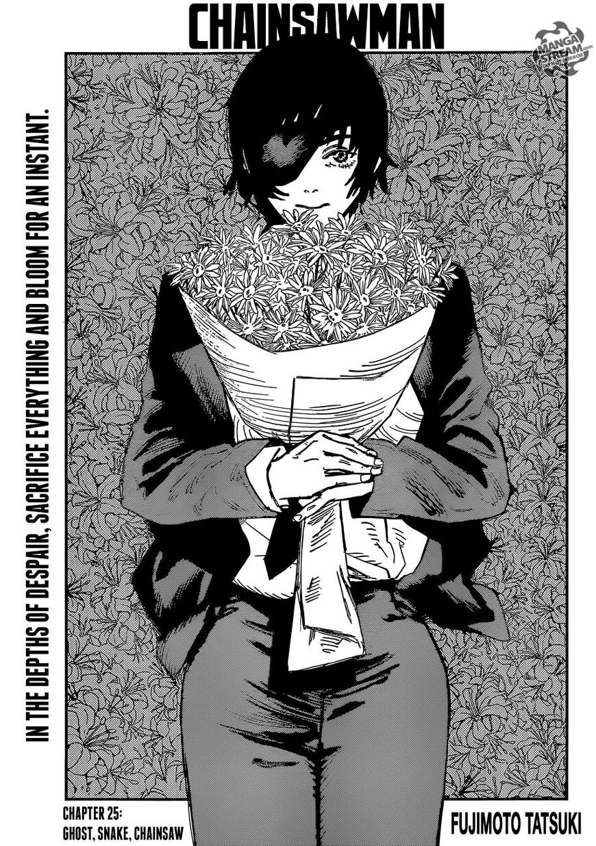 Read Chainsaw-Man Manga Online