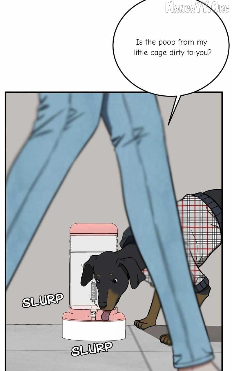 Read Change Me Manga Online