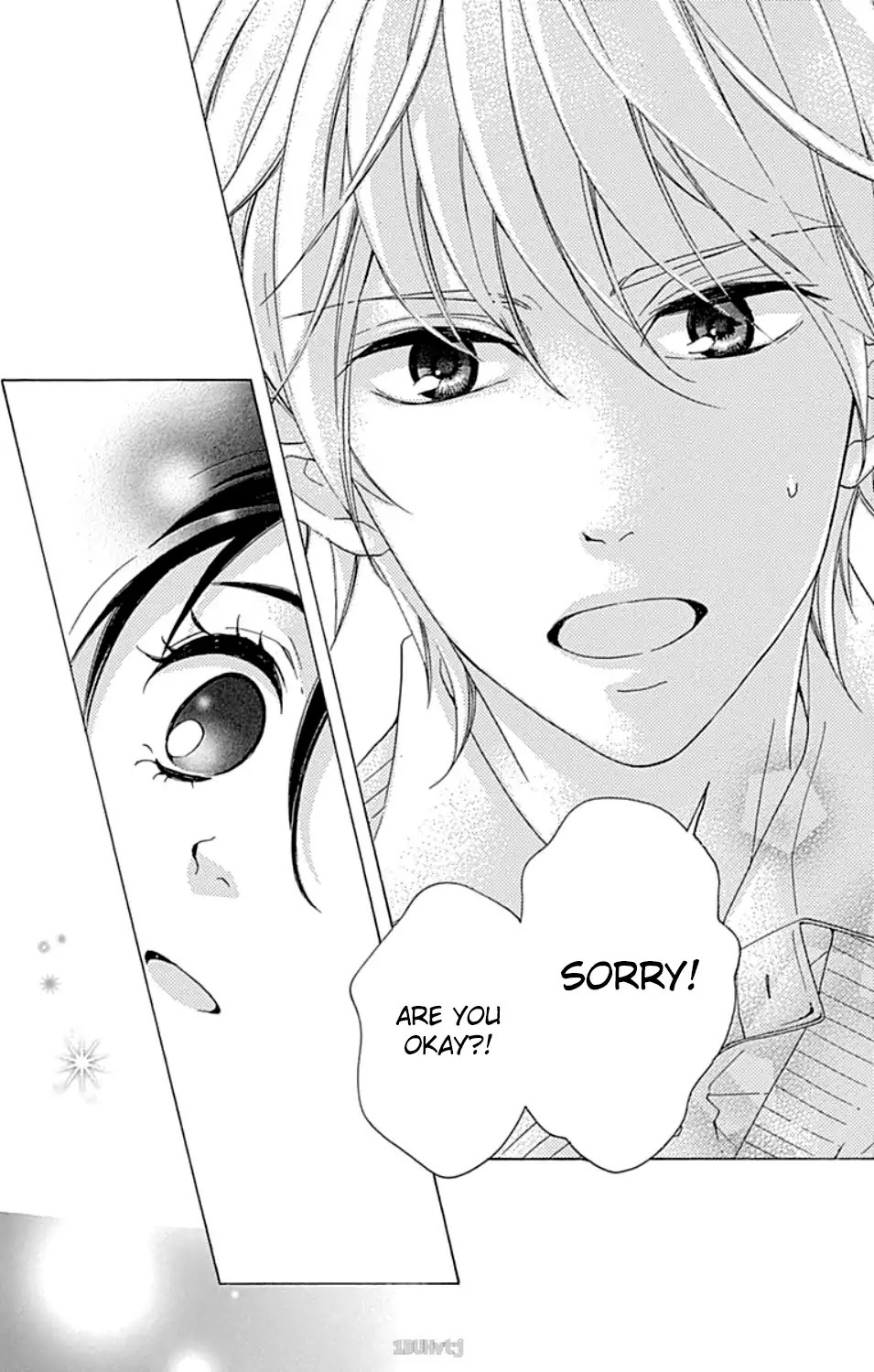 Read Chouchou Koi Manga Online