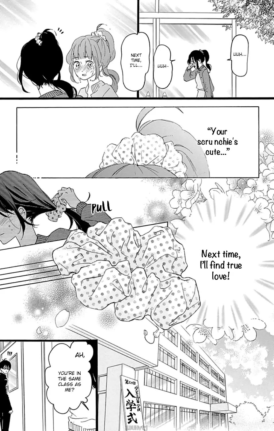 Read Chouchou Koi Manga Online