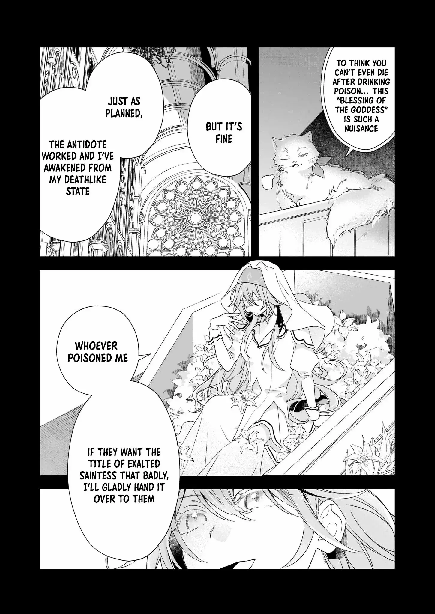 Read Dai Seijo wa Ten ni Mesarete, Panya no Gijo ni Narimashita Manga Online