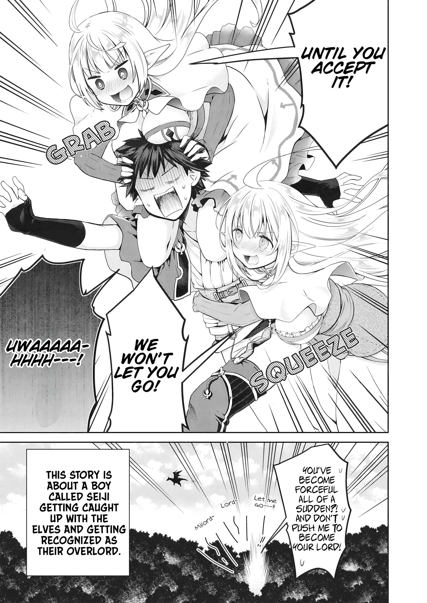 Read Dakara Katte ni Yuusha Toka Haou ni Nintei Sunno Yamero yo! ~Elf Zoku mo Kokuou-sama mo Hirefusu Hodo Ore wa Idai na Yakuwarirashii~ Manga Online