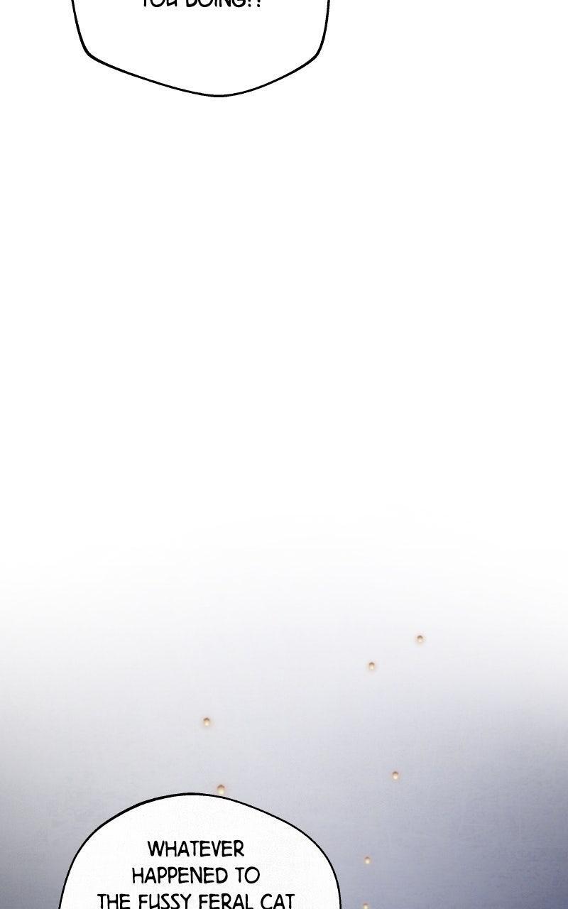 Read Dark Mermaid Manga Online