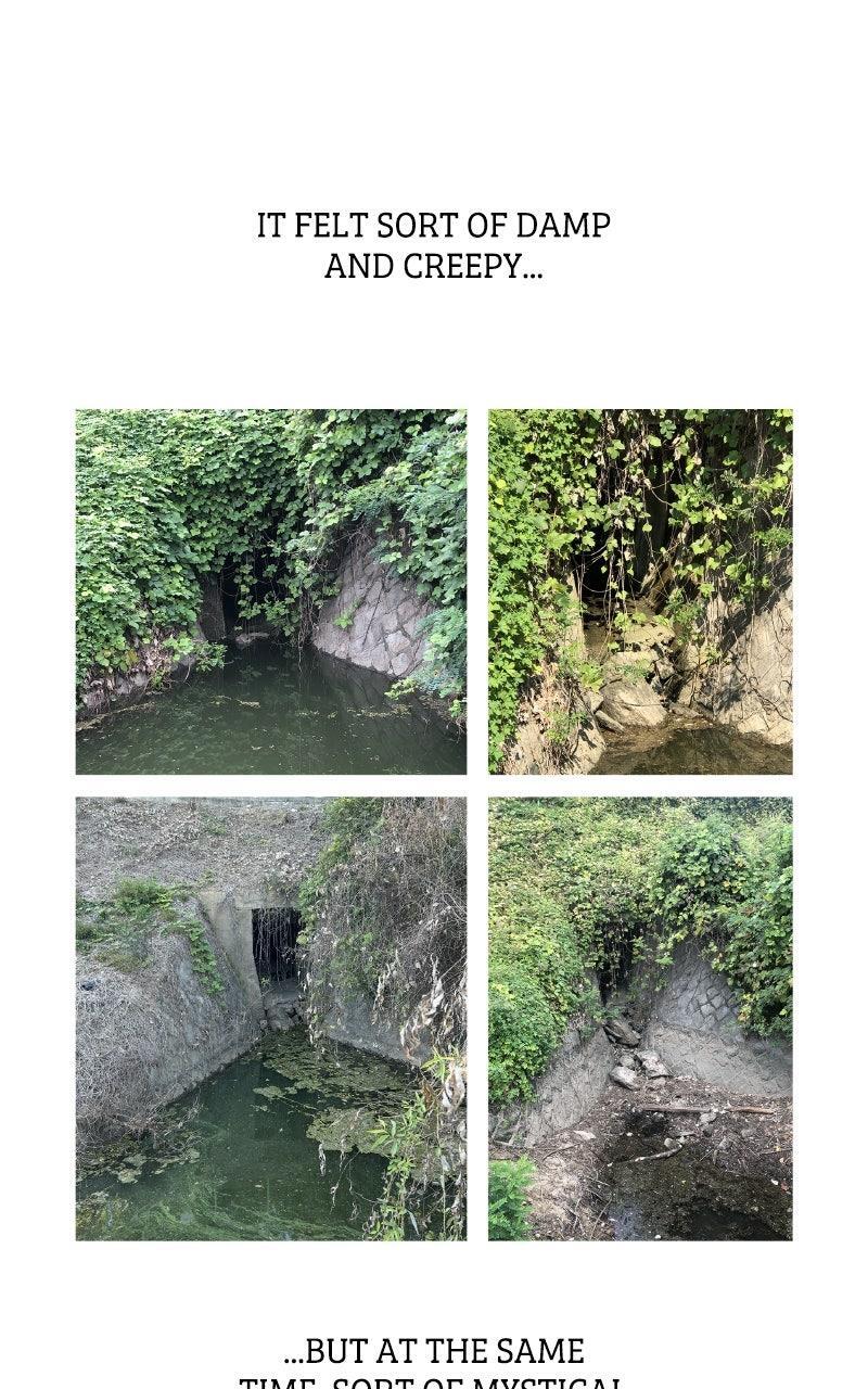 Read Dark Mermaid Manga Online