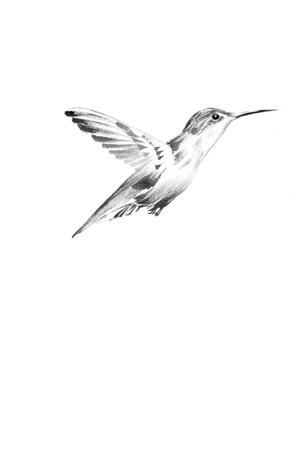 Read Deadman Wonderland Manga Online