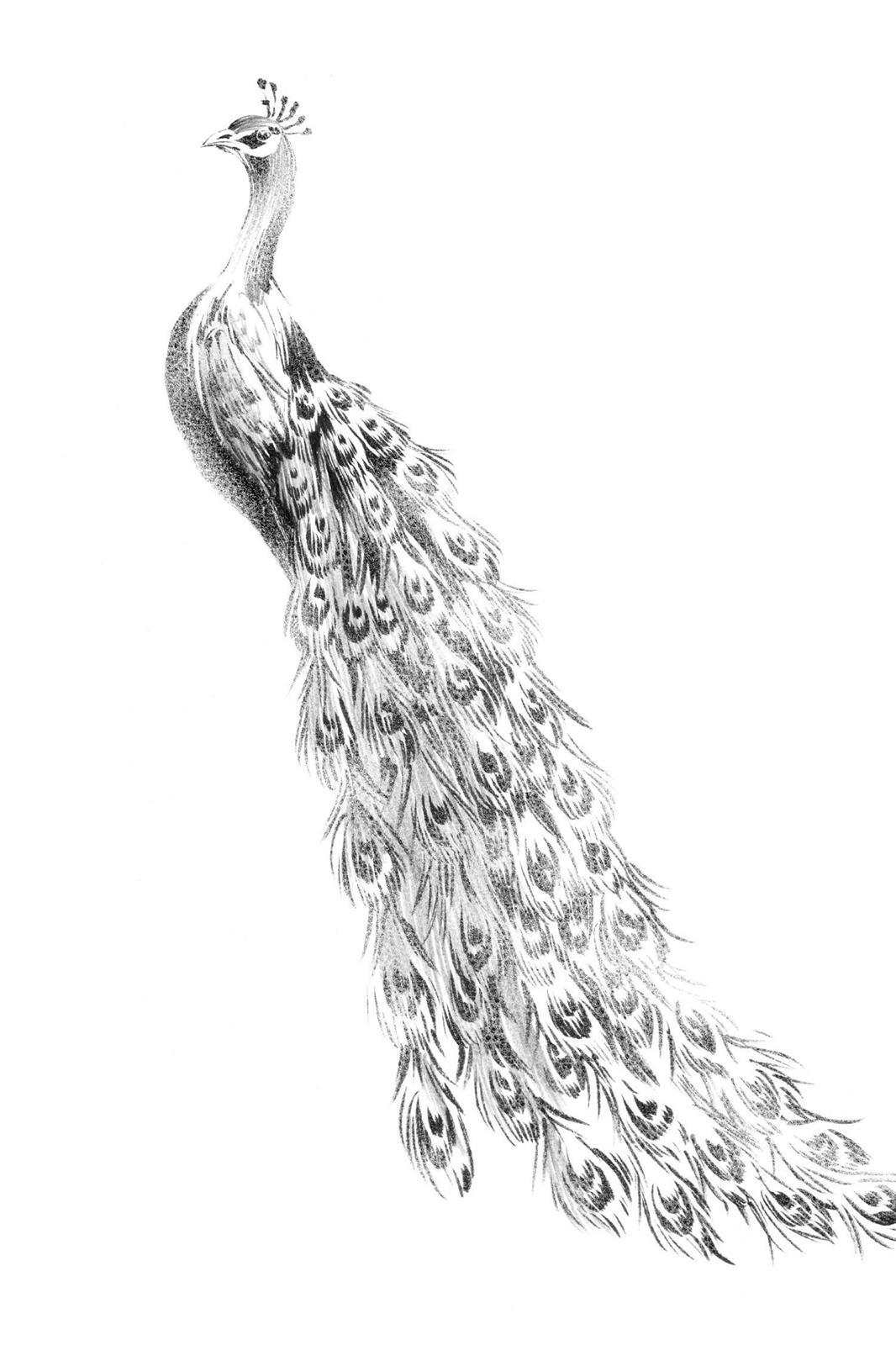 Read Deadman Wonderland Manga Online