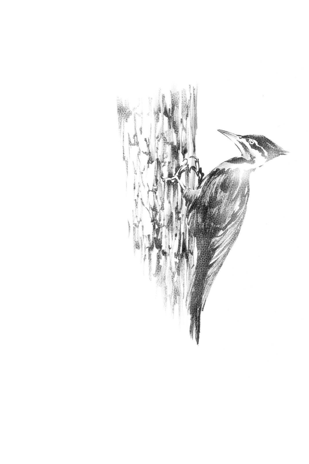 Read Deadman Wonderland Manga Online