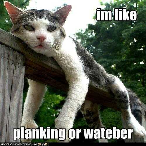 Read Derby Queen Manga Online