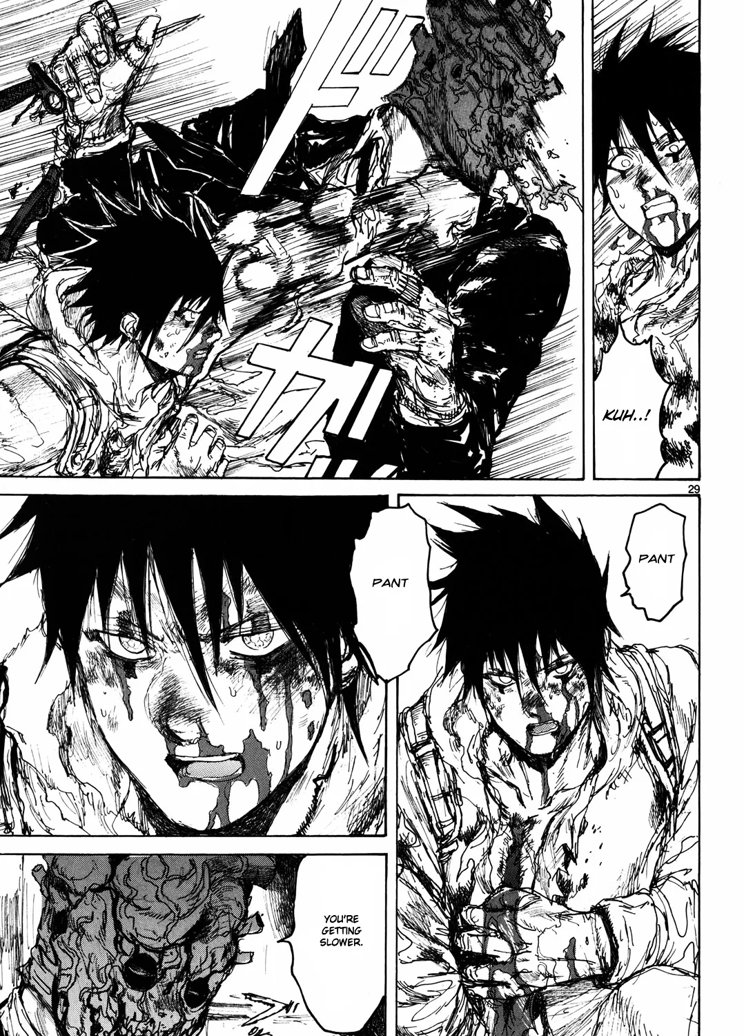 Read Dorohedoro Manga Online