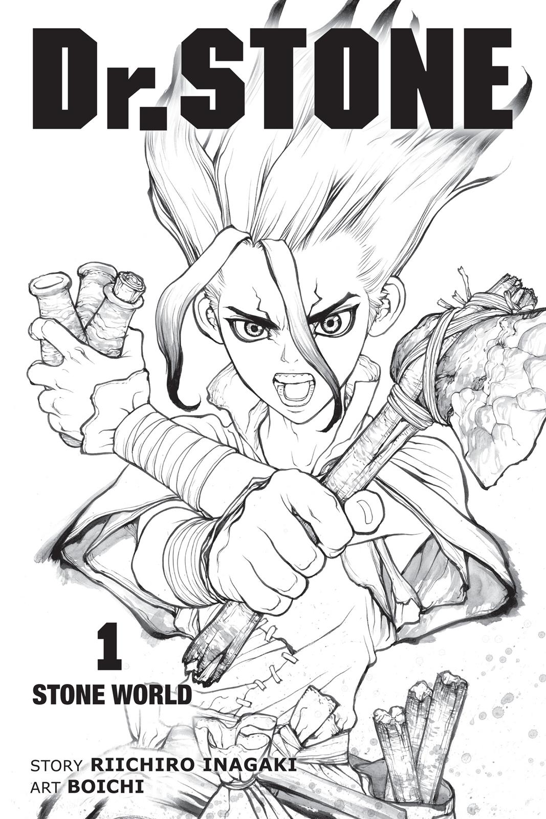 Read Dr. STONE Manga Online
