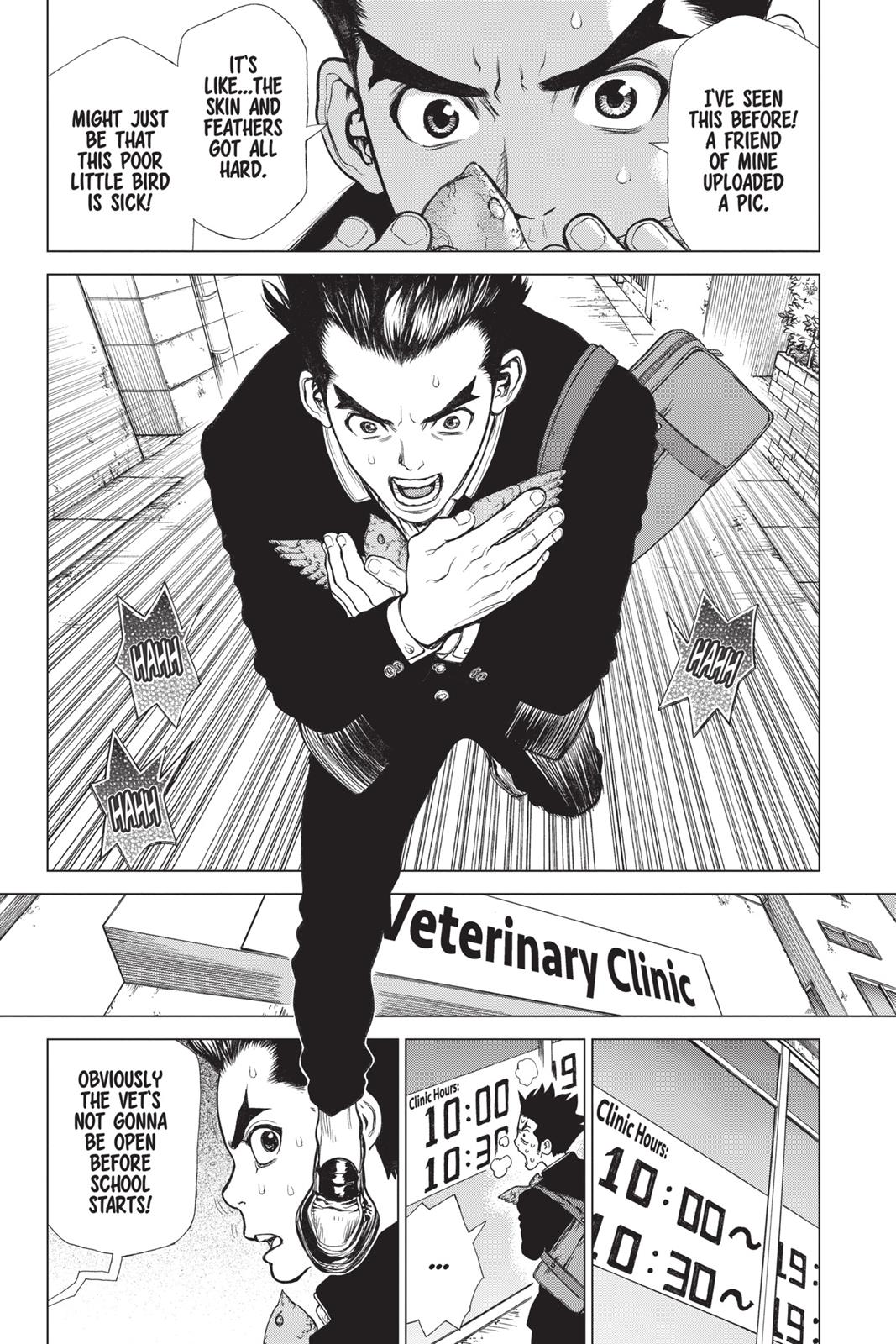 Read Dr. STONE Manga Online