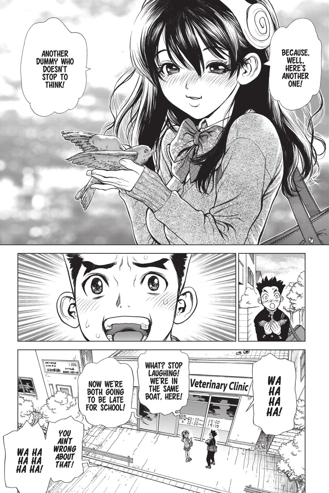 Read Dr. STONE Manga Online