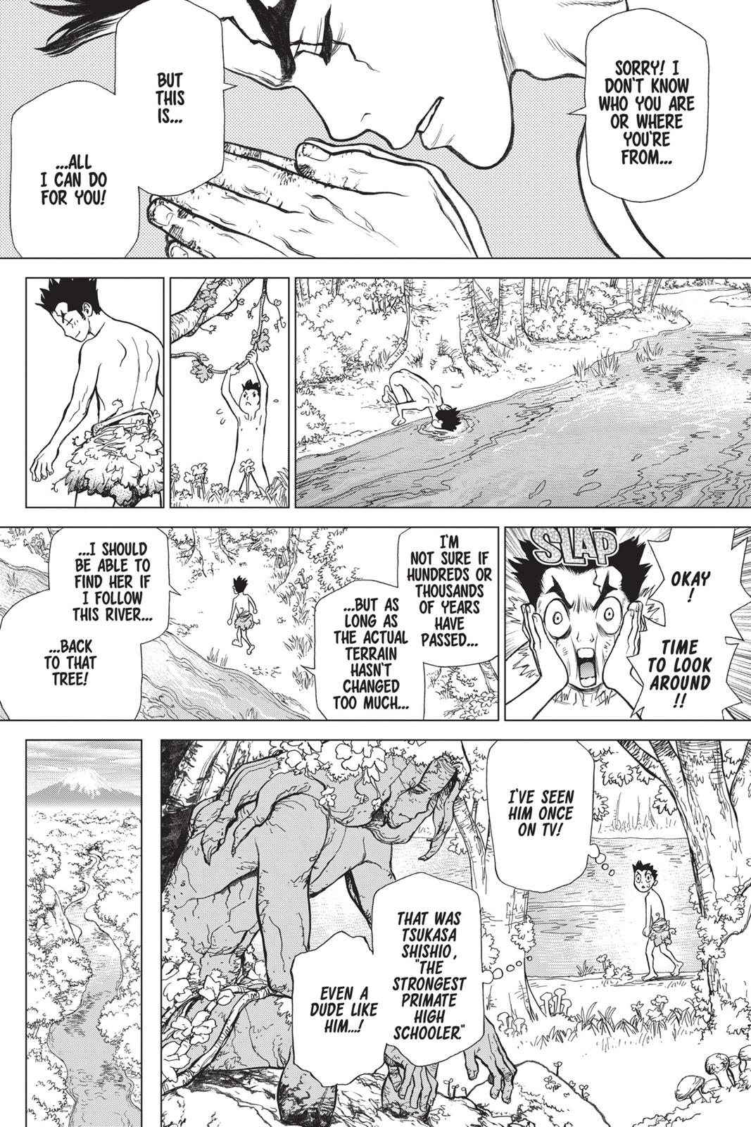 Read Dr. STONE Manga Online