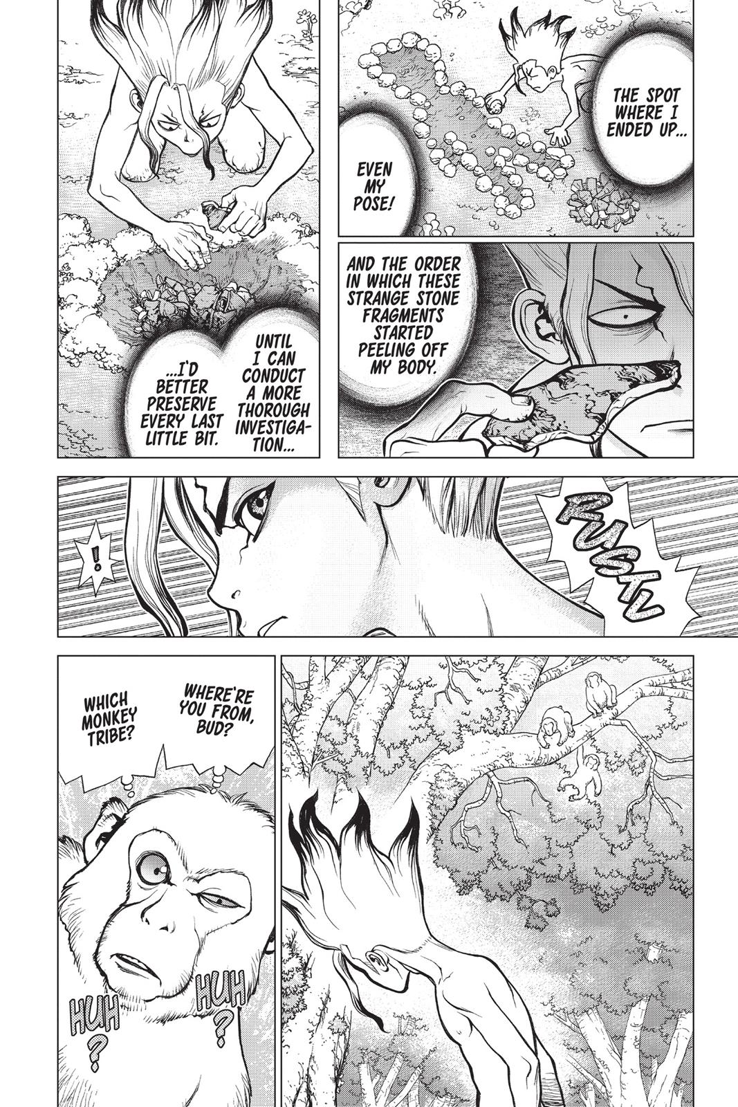 Read Dr. STONE Manga Online