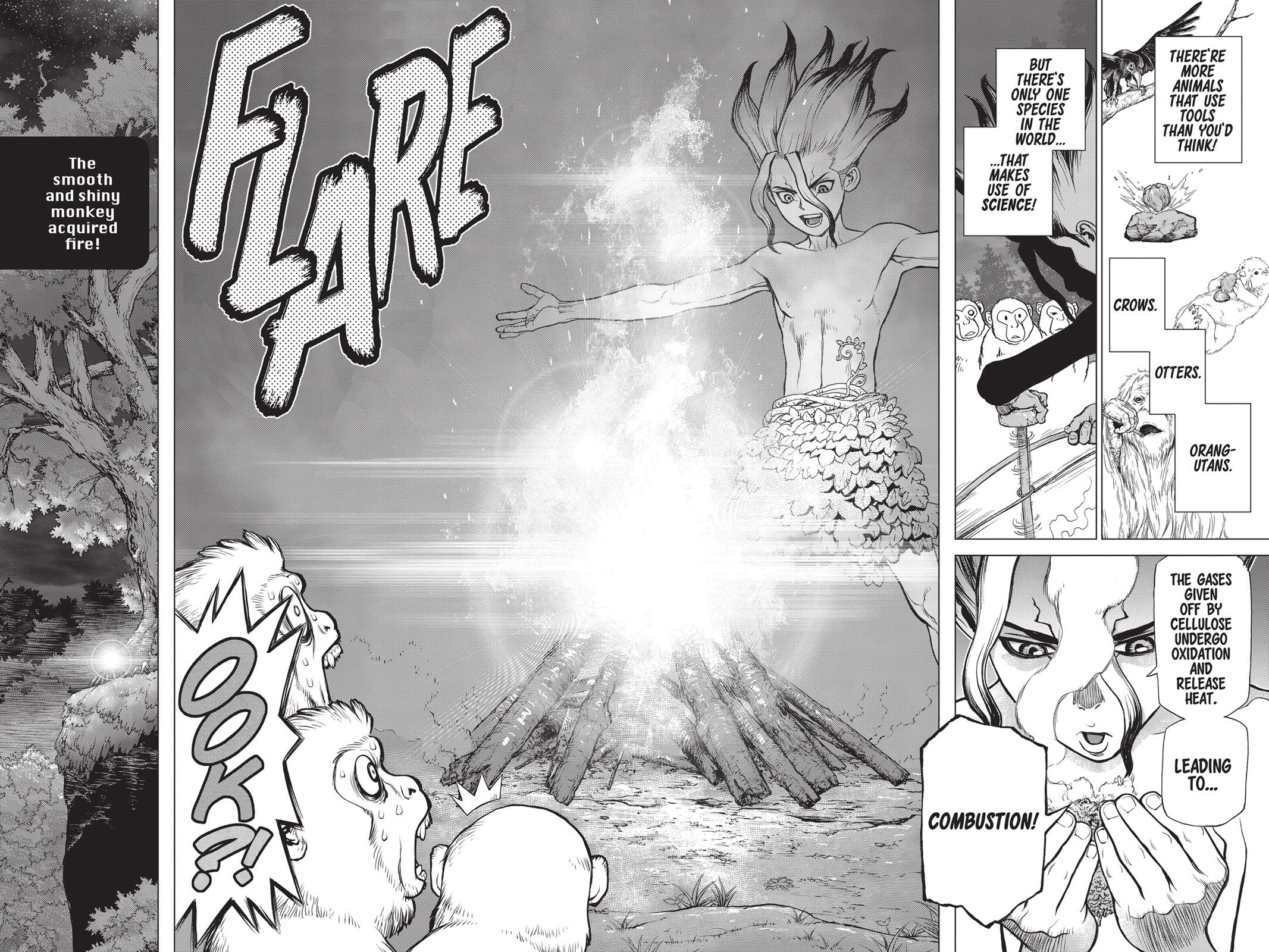 Read Dr. STONE Manga Online