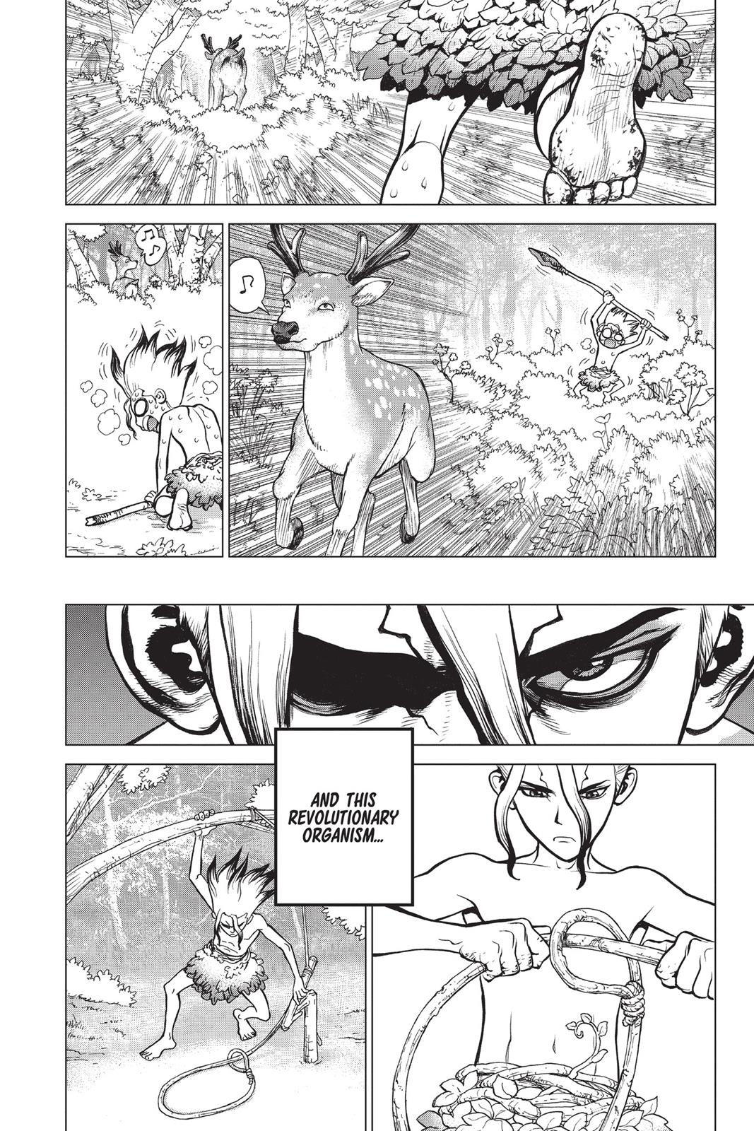 Read Dr. STONE Manga Online