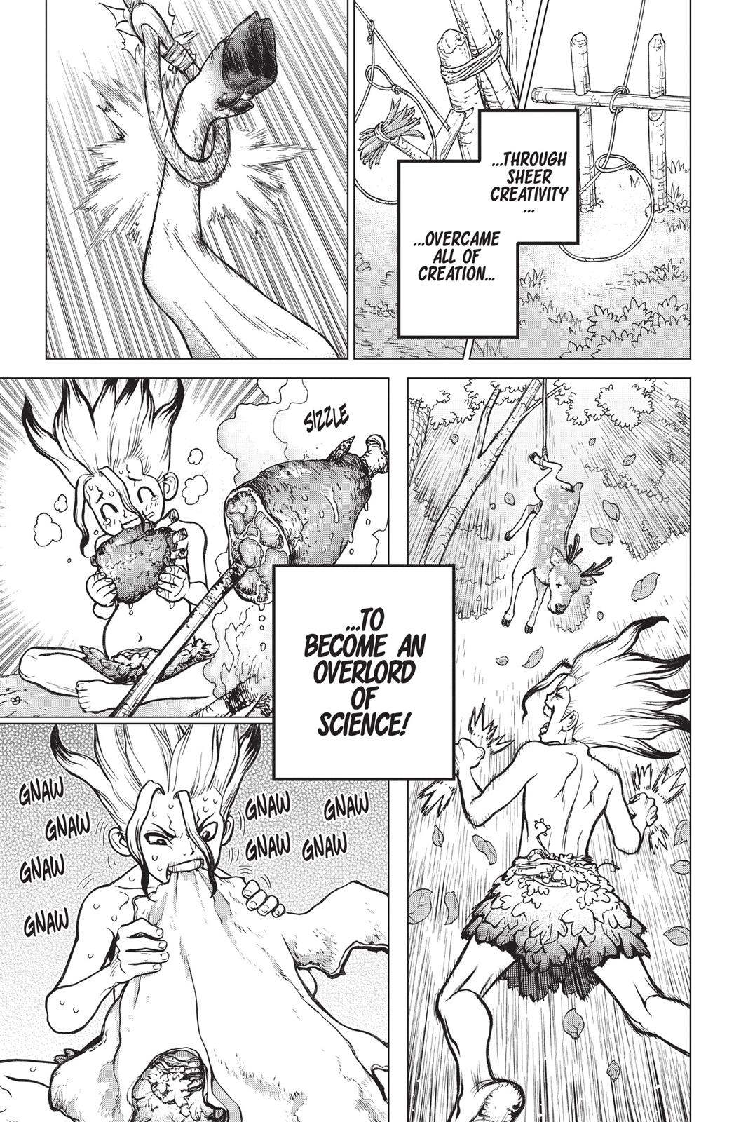 Read Dr. STONE Manga Online