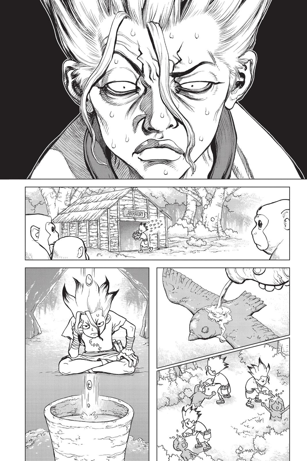 Read Dr. STONE Manga Online