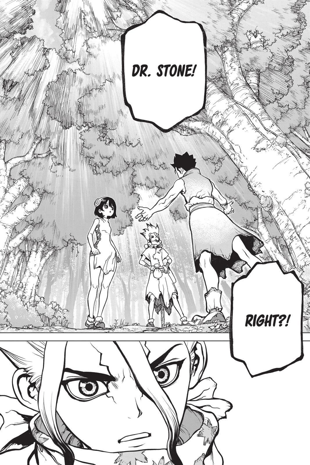 Read Dr. STONE Manga Online