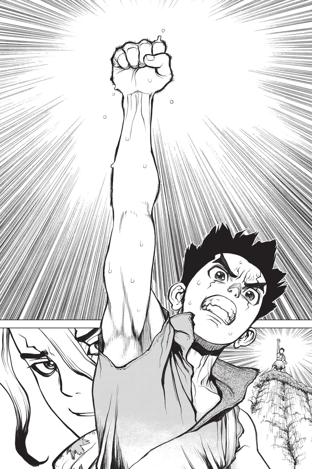 Read Dr. STONE Manga Online