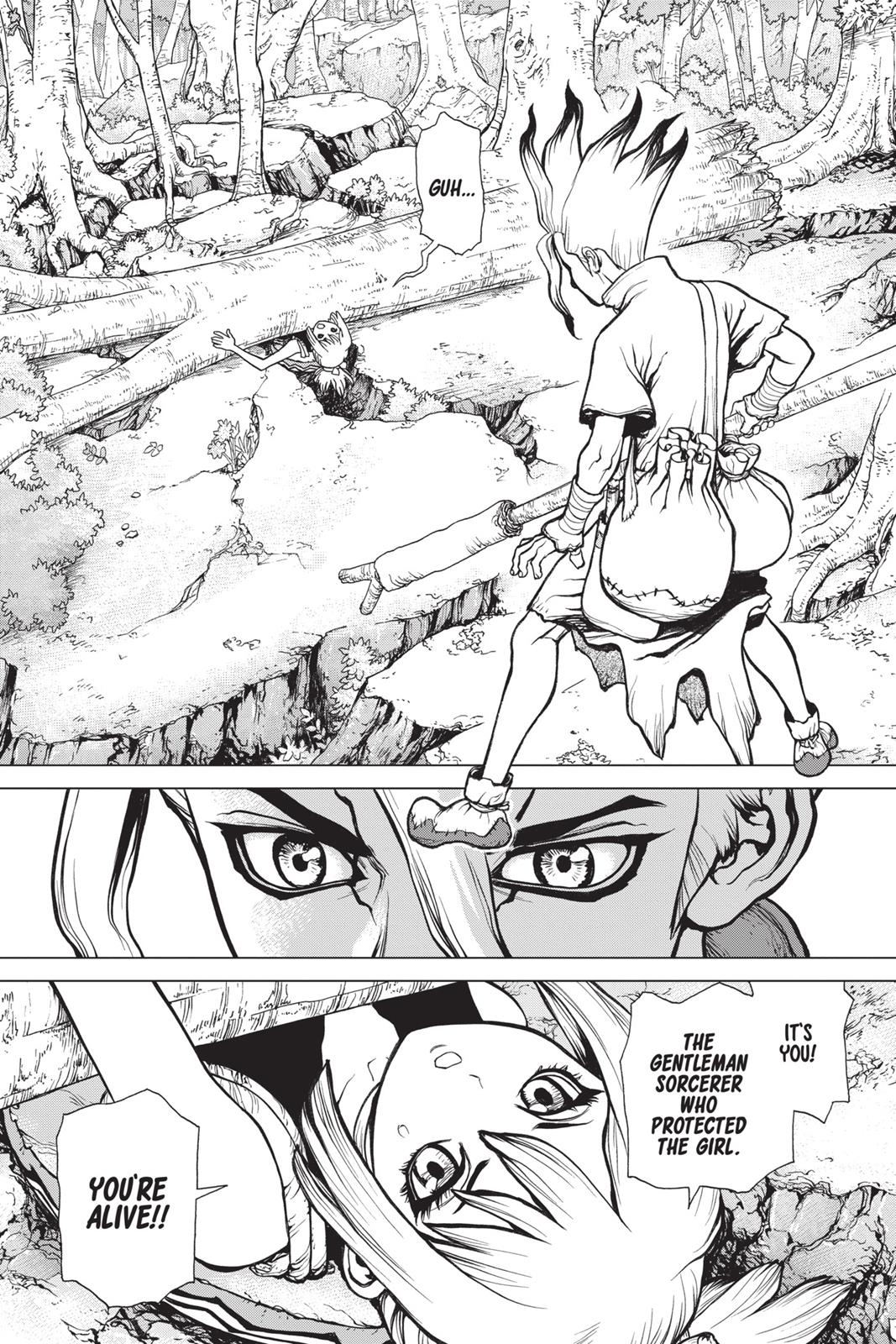 Read Dr. STONE Manga Online
