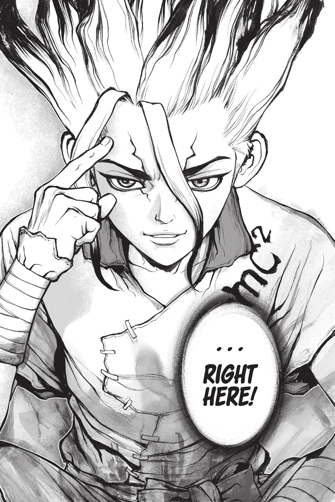 Read Dr. STONE Manga Online