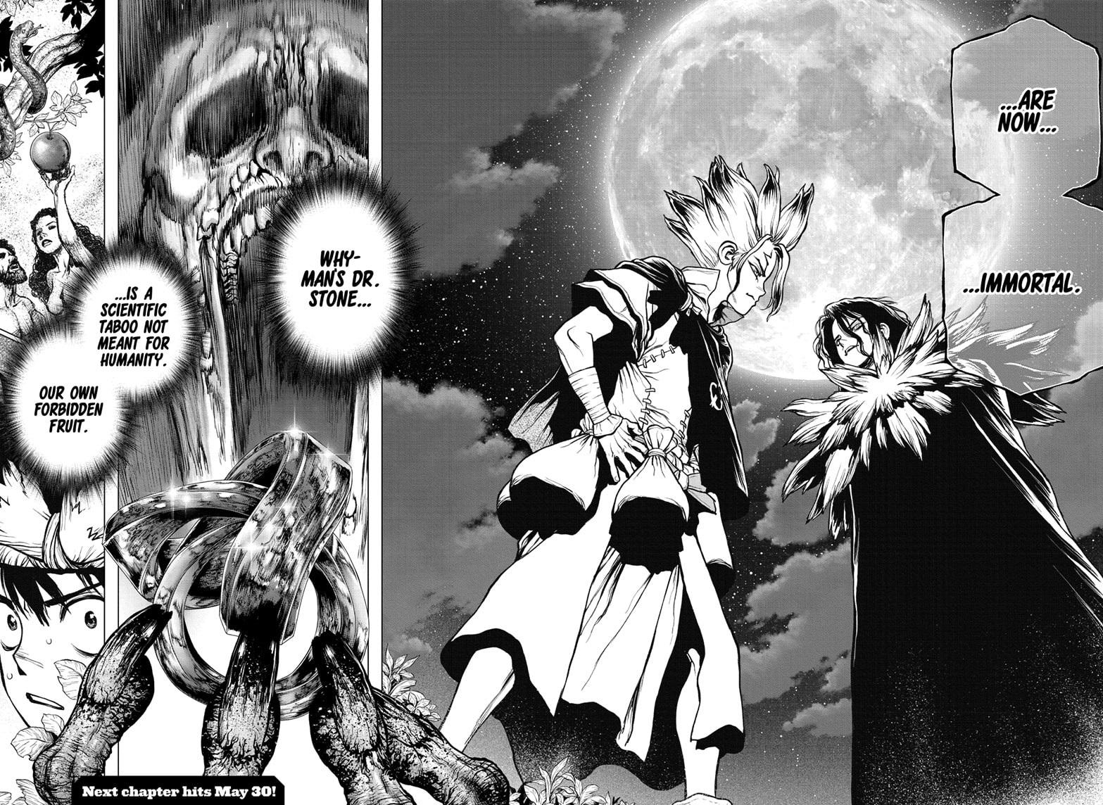 Read Dr. STONE Manga Online