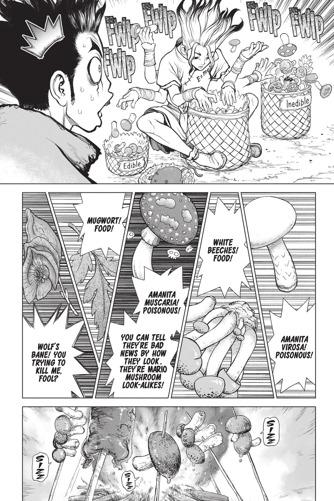 Read Dr. STONE Manga Online