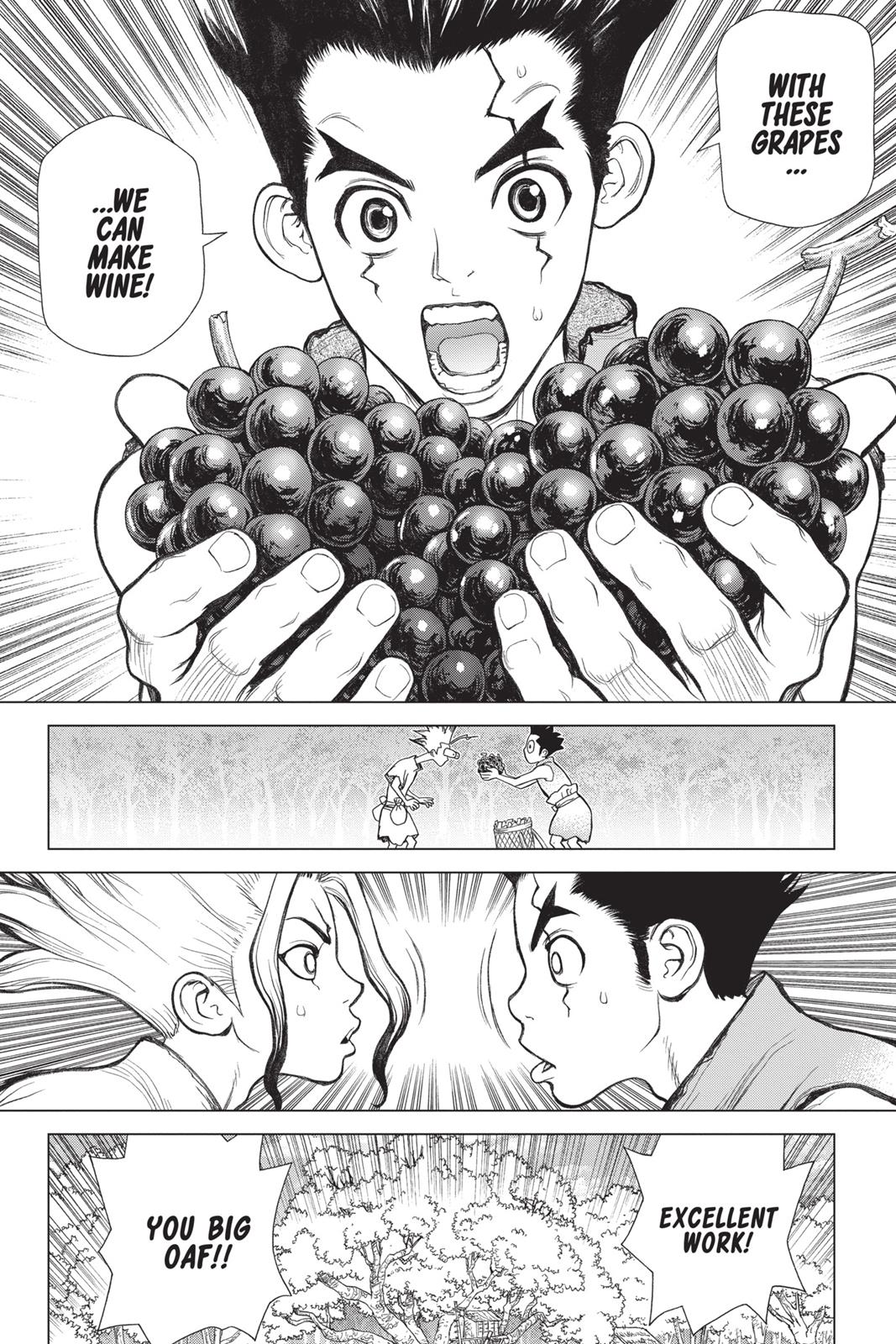 Read Dr. STONE Manga Online