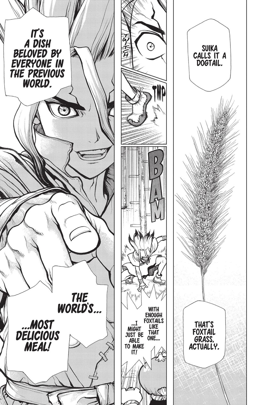 Read Dr. STONE Manga Online