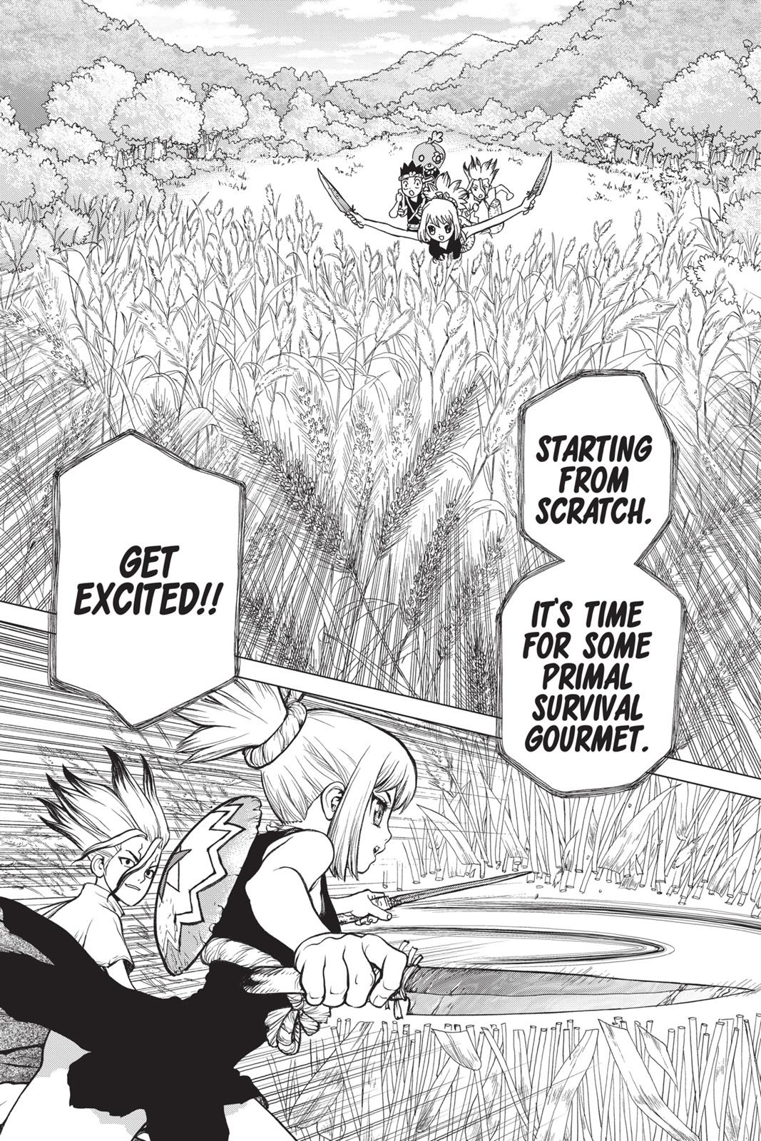 Read Dr. STONE Manga Online