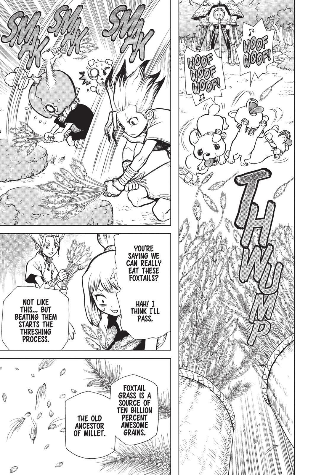 Read Dr. STONE Manga Online