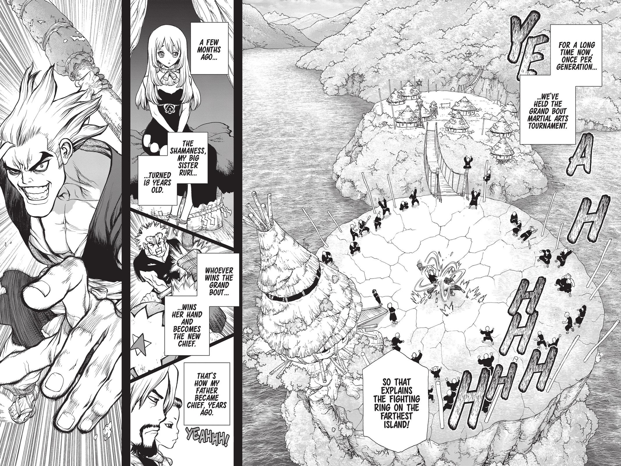 Read Dr. STONE Manga Online