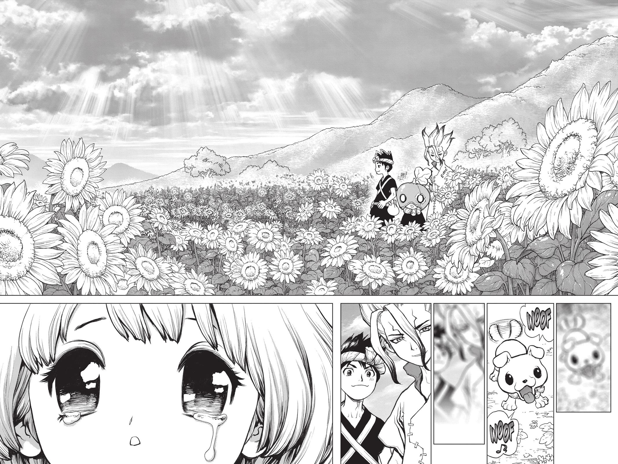 Read Dr. STONE Manga Online